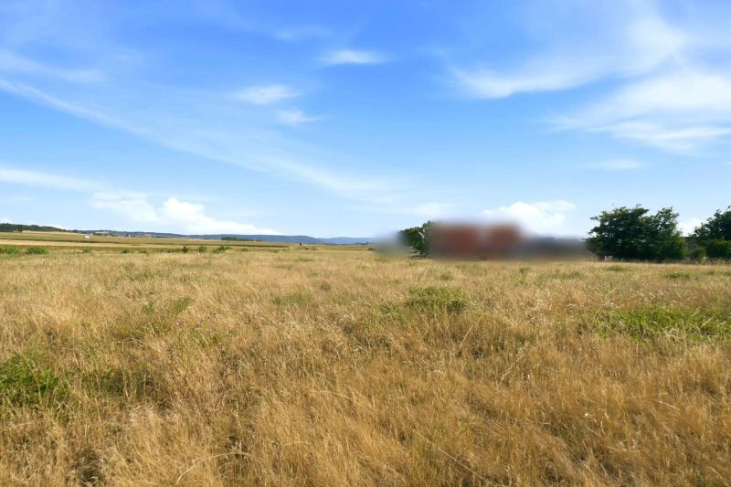 Gro�z�giges Baugrundst�ck mit eigener Zufahrt ? 1.175 m� und bis zu zwei Wohneinheiten /  / 2111&nbsp;Harmannsdorf / Bild 6